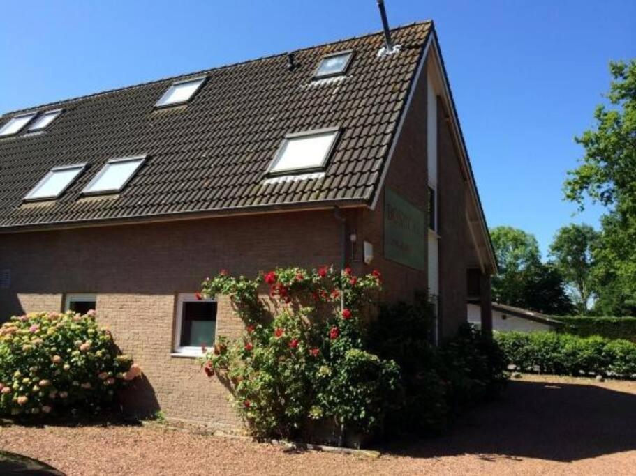 Boszicht 3 Appartement In Oostkapelle Zewnętrze zdjęcie