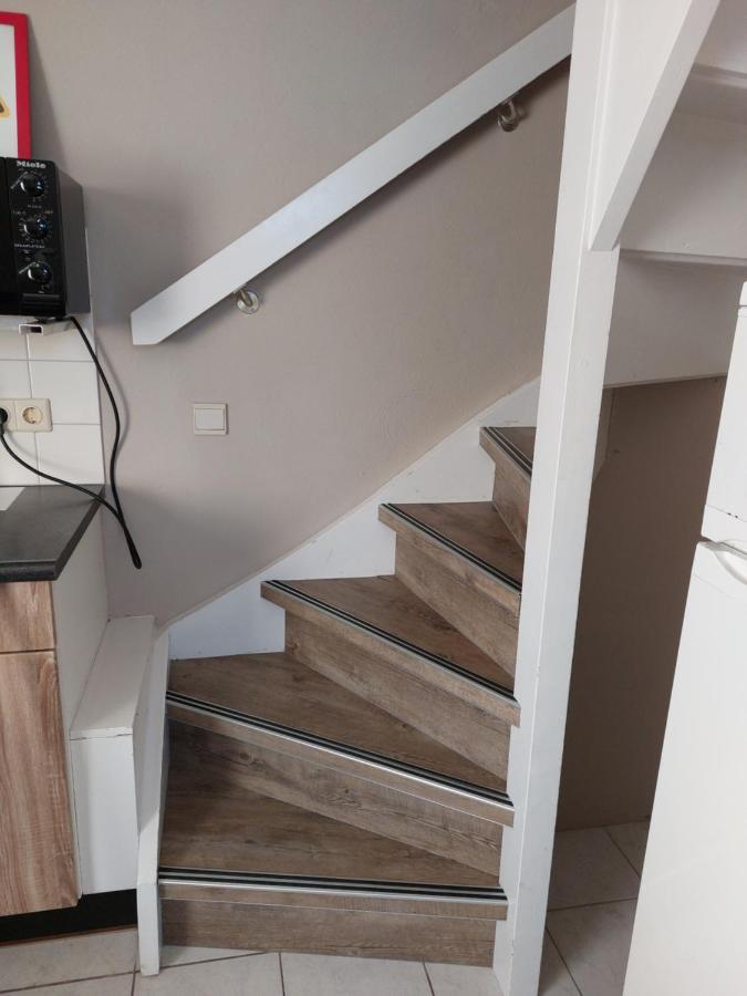 Boszicht 3 Appartement In Oostkapelle Zewnętrze zdjęcie
